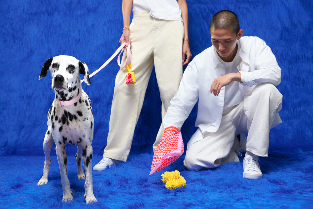 10 Dog Walking Tips That Will Transform Your Daily Routine