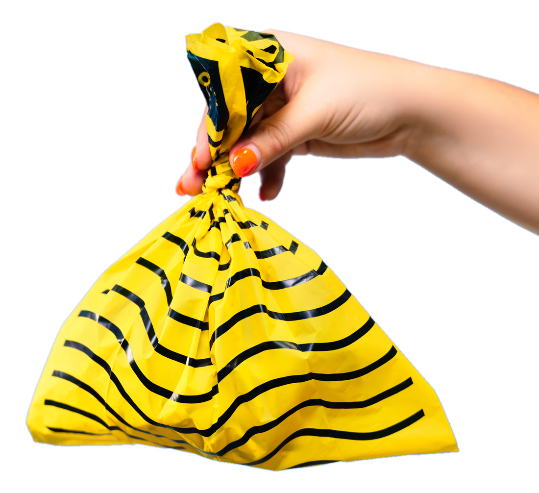 How Many Dog Poop Bags Do You Actually Need?